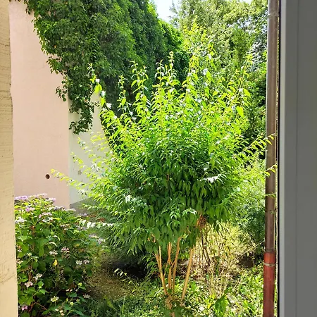 Exklusive Mit Kingsize-bett I 75qm I Am I Waschmaschine I Streaming I Gratis Kaffee & Teeangebot Chemnitz