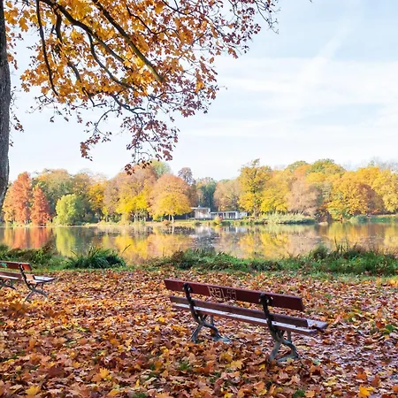 Exklusive Mit Kingsize-bett I 75qm I Am I Netflix I Gratis Kaffee&teeangebot