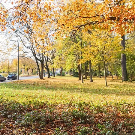 Exklusive Mit Kingsize-bett I 75qm I Am I Netflix I Gratis Kaffee&teeangebot Apartment