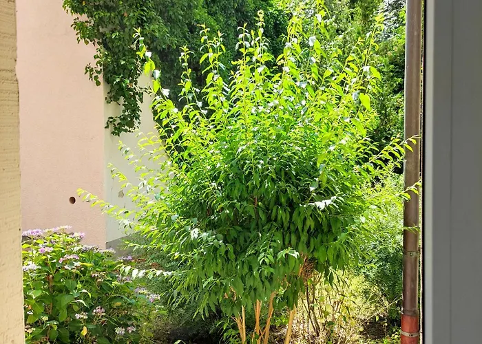 Exklusive Mit Kingsize-bett I 75qm I Am I Waschmaschine I Streaming I Gratis Kaffee & Teeangebot 开姆尼茨