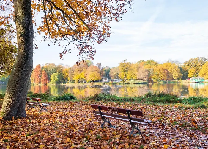 Exklusive Mit Kingsize-bett I 75qm I Am I Waschmaschine I Streaming I Gratis Kaffee & Teeangebot